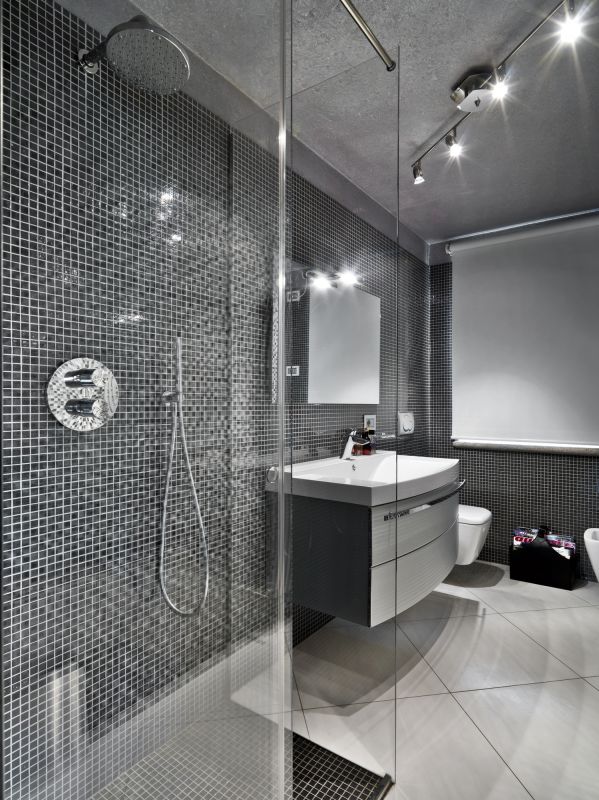 Elegant Glass Shower Enclosure